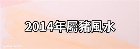 木豬 風水|【屬豬方位】屬豬方位風水大公開！找出你的財位、桃花位和旺運。